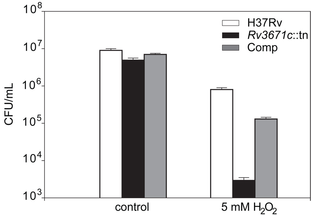 Figure 9