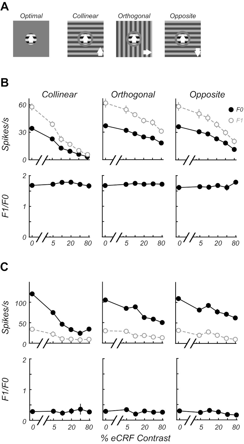 Fig. 9.