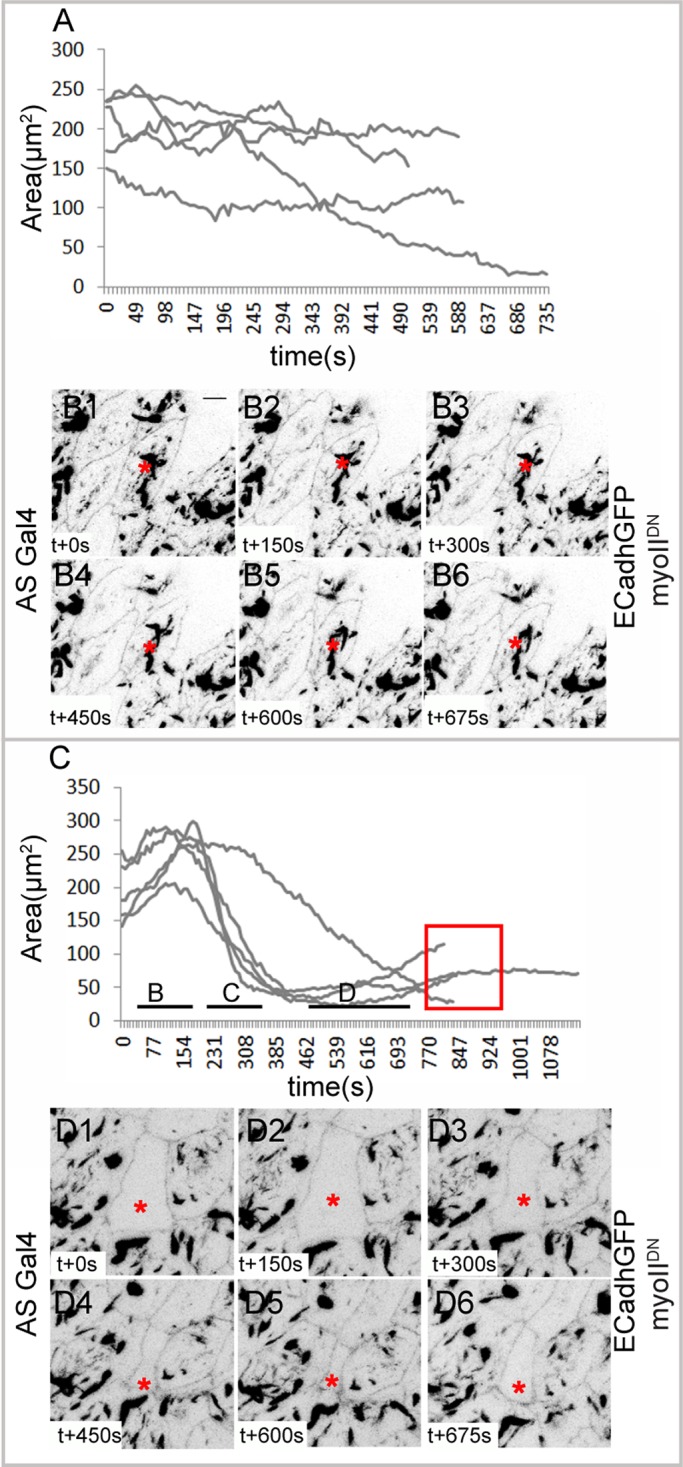 FIGURE 6: