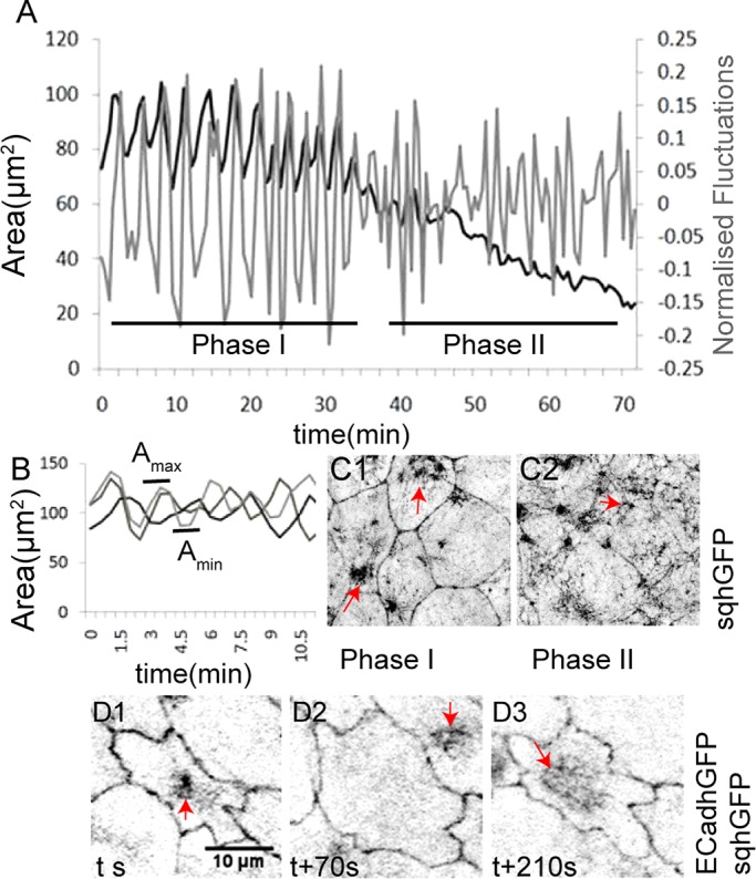 FIGURE 1: