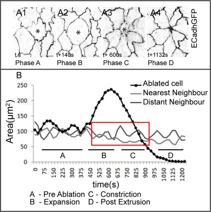 FIGURE 3: