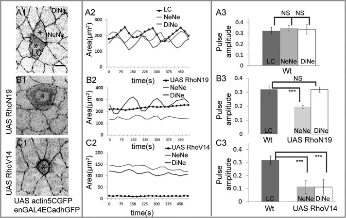 FIGURE 4: