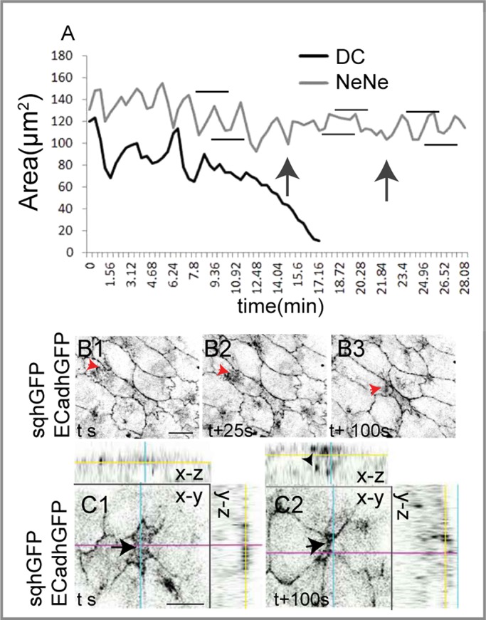 FIGURE 7: