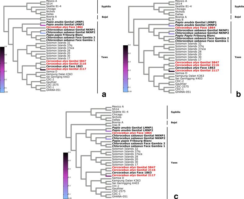 Fig. 4.