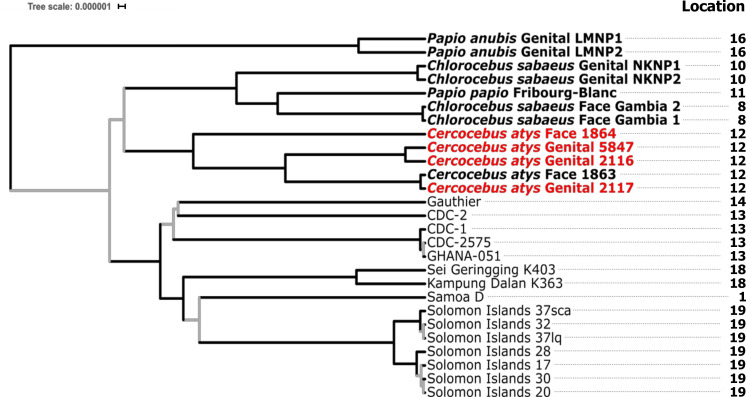 Fig. 3.