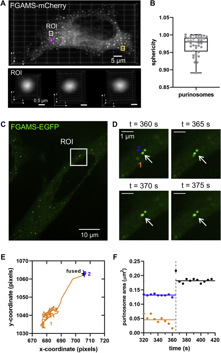 Figure 2