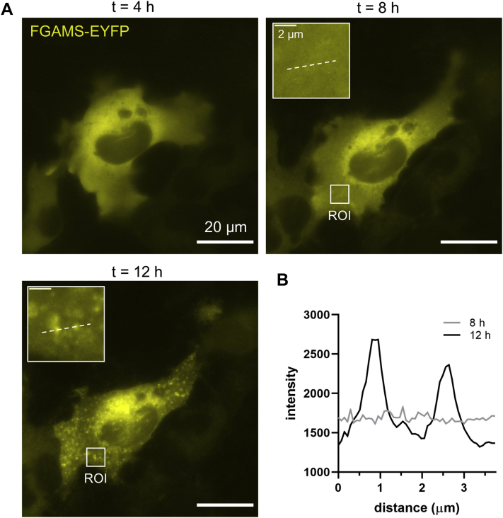 Figure 1