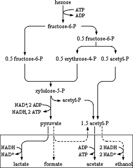 FIG. 1.