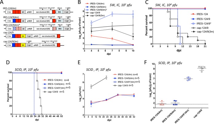 FIG 2 