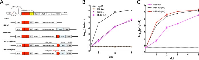 FIG 1 