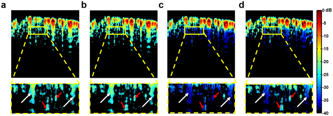 Figure 5