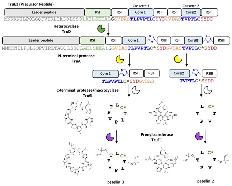 Figure 1.