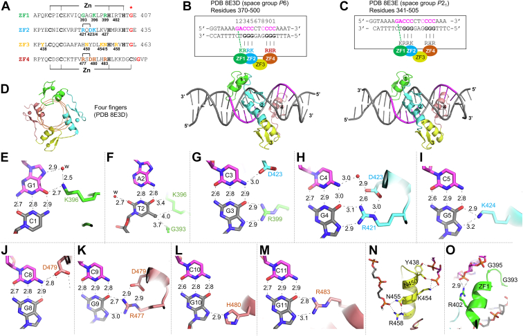 Figure 3