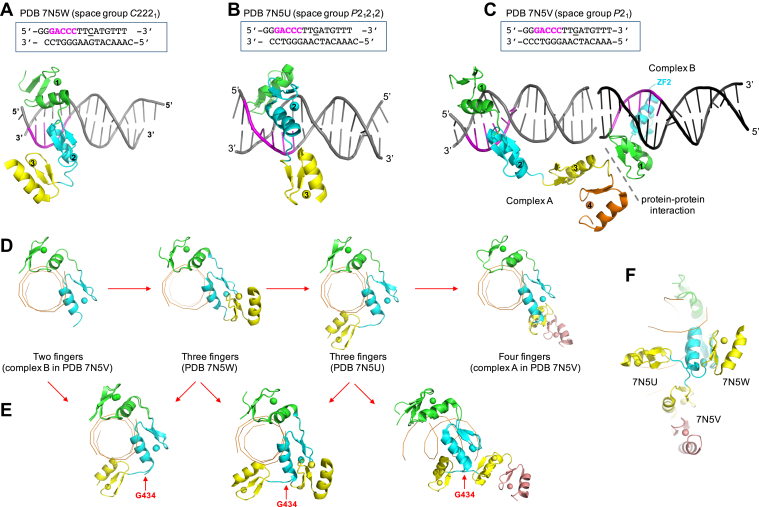 Figure 2