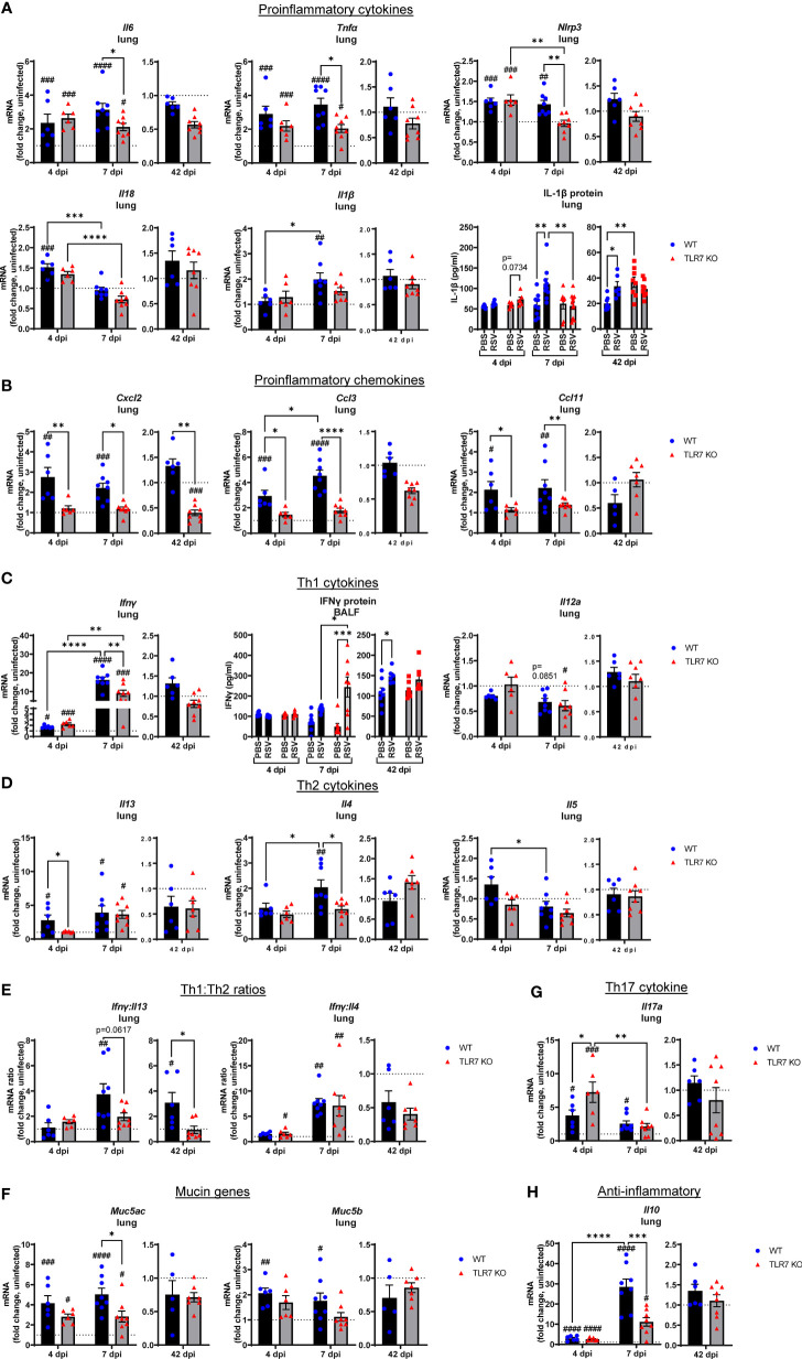 Figure 6