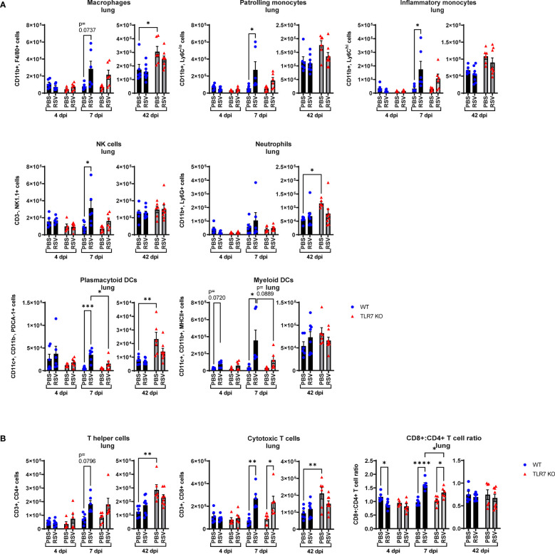 Figure 5