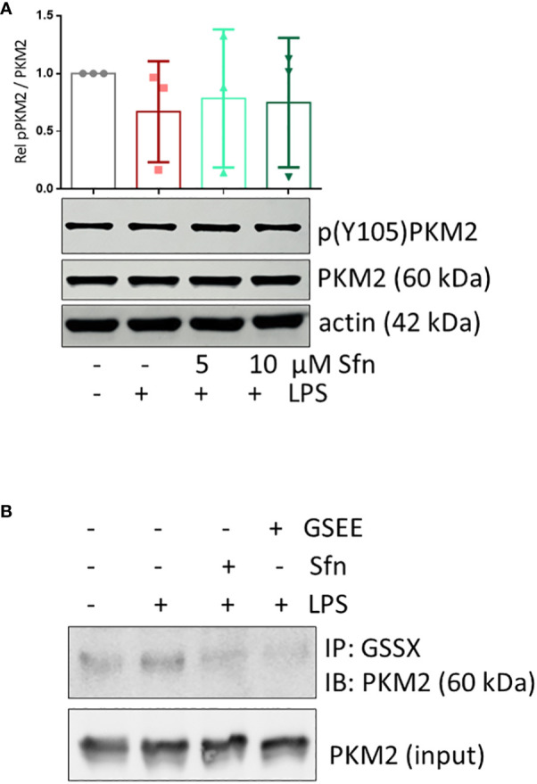 Figure 7