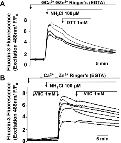 Fig. 8.