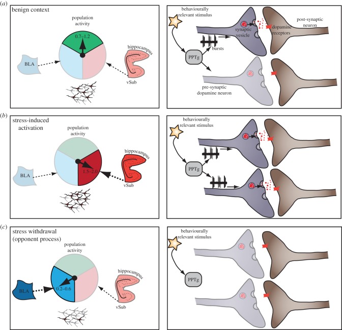 Figure 1.