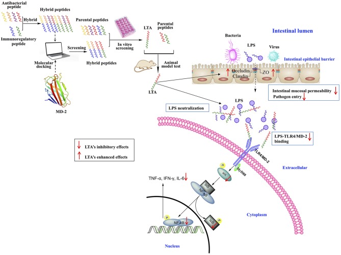 Figure 13