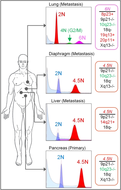 Fig. 4.