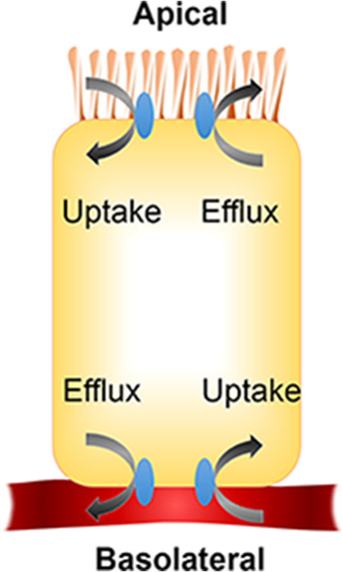 Fig. 4.