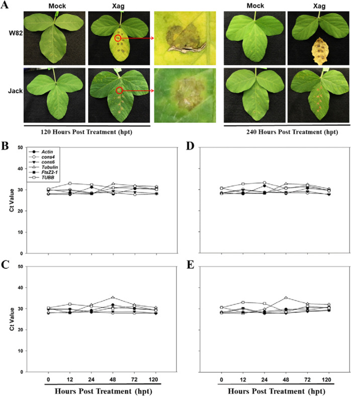 Fig. 8