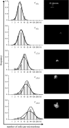FIG. 2.
