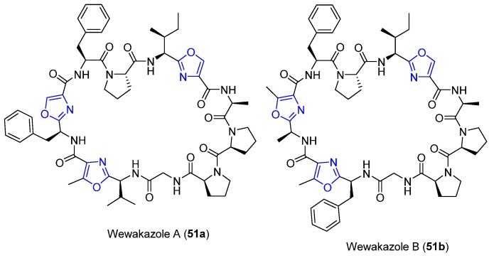 Figure 21