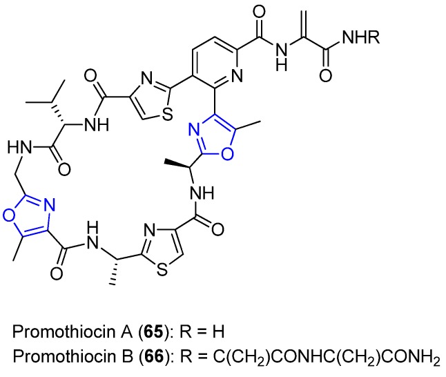 Figure 26