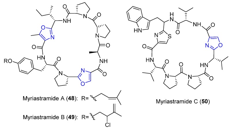 Figure 20