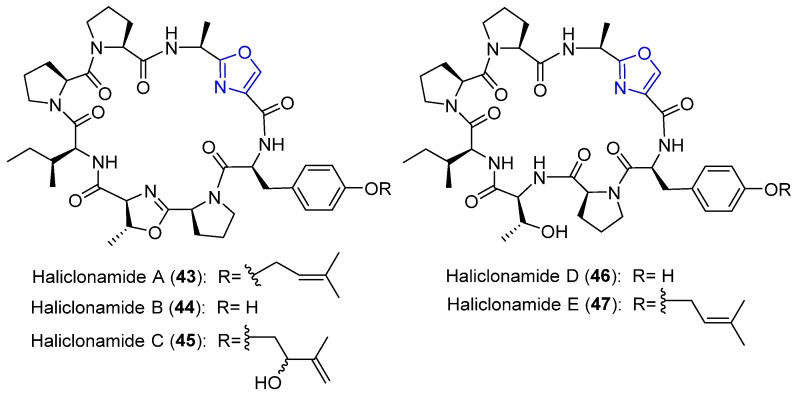 Figure 19