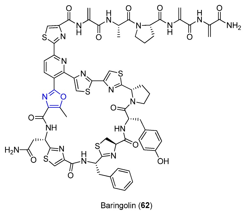 Figure 24