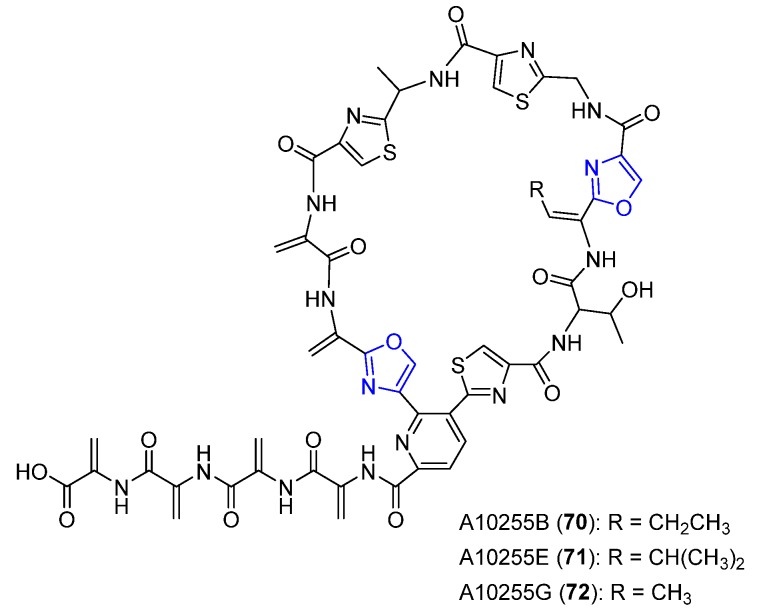 Figure 28