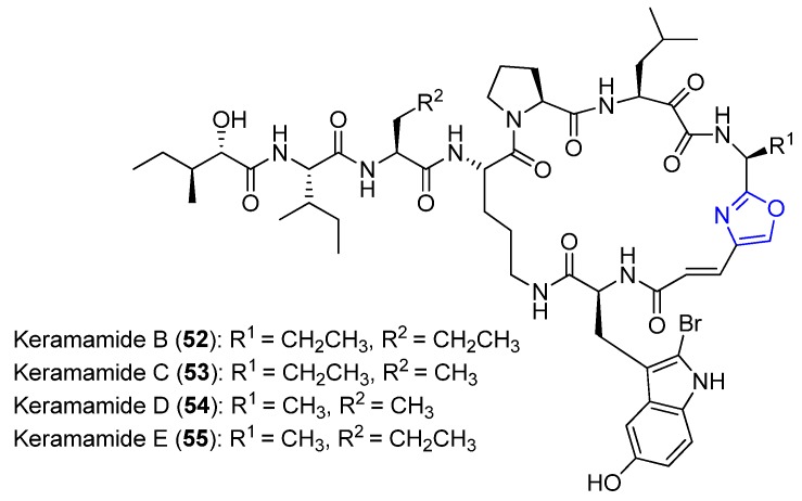 Figure 22