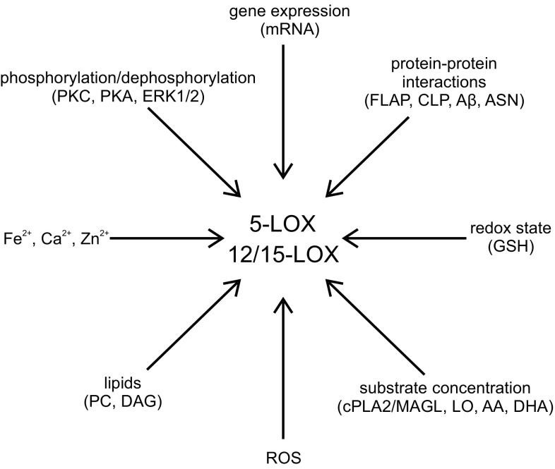 Fig. 4