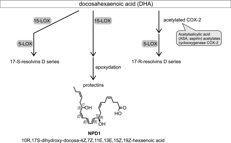 Fig. 7