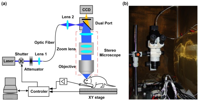 Fig. 1