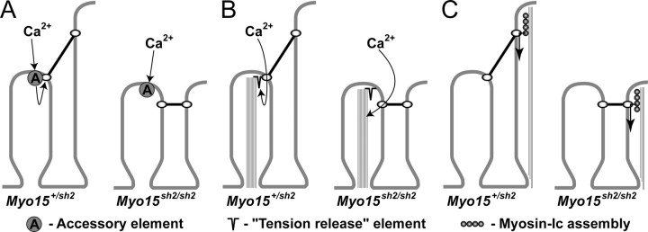 Figure 10.