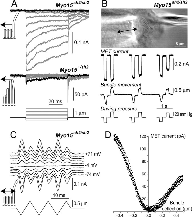 Figure 9.