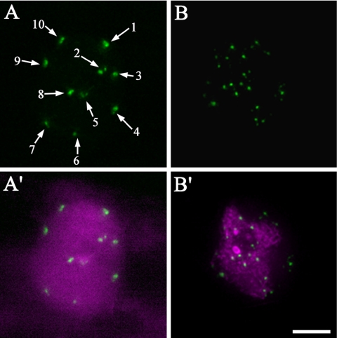 Figure 3.