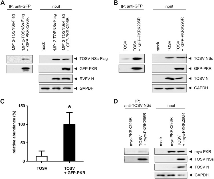 Fig 6