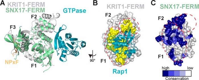 FIGURE 7.