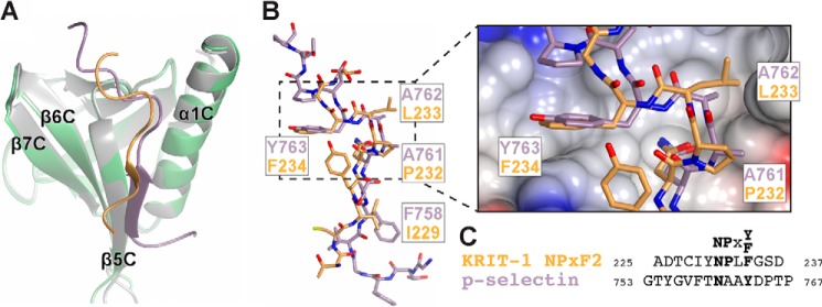 FIGURE 4.