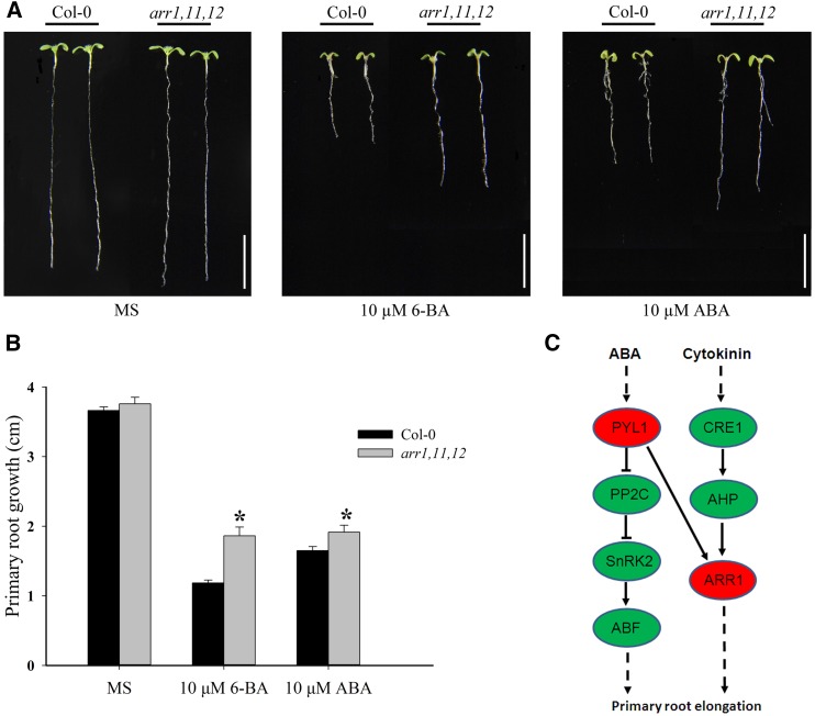 Figure 6.