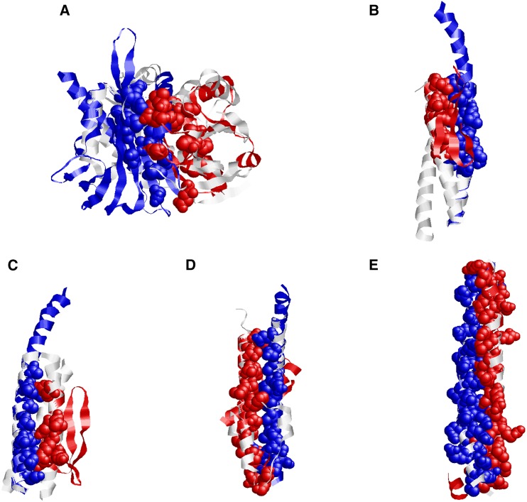 Figure 5.