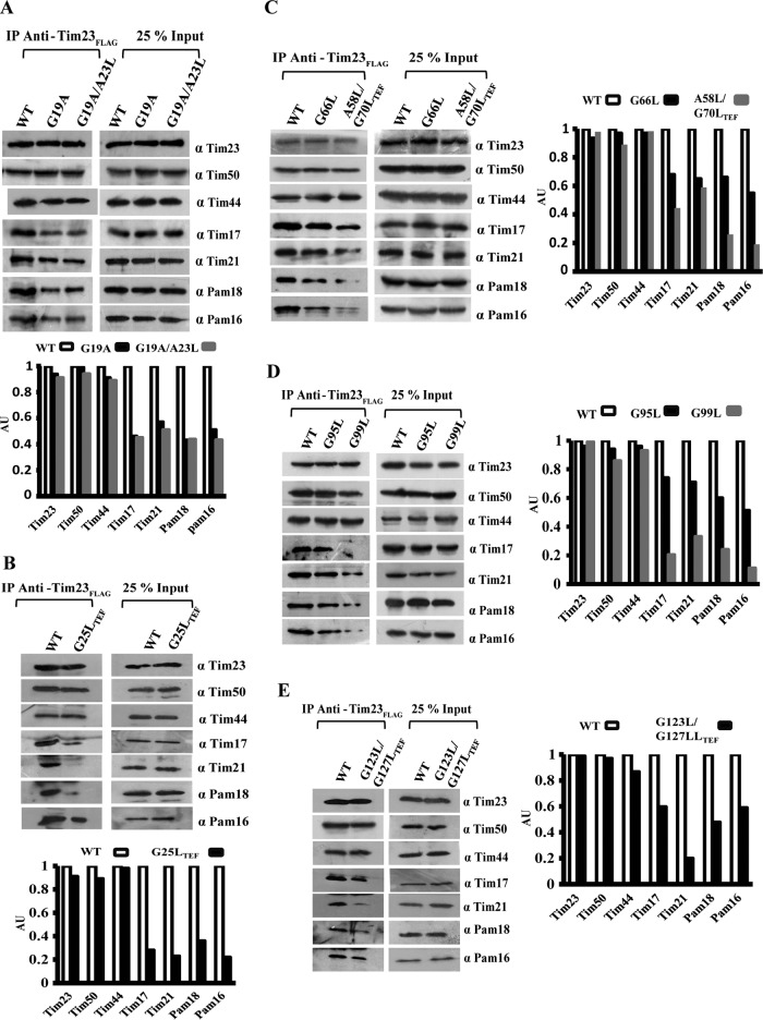 FIG 5