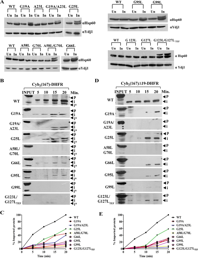 FIG 4