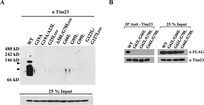 FIG 6