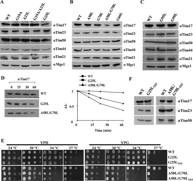 FIG 2